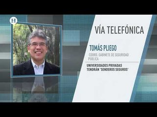 Se están tomando medidas necesarias para recuperar las calles, aseguró Tomás Pliego