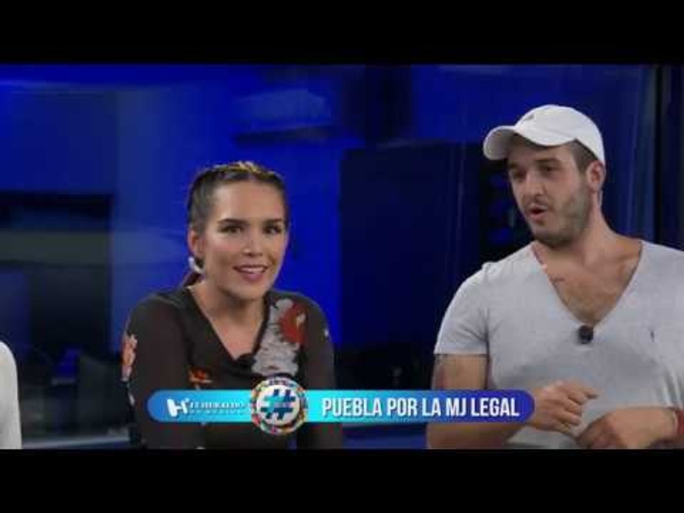 TREND: Marca Renovare lanza zapatos ecológicos hechos de sargazo