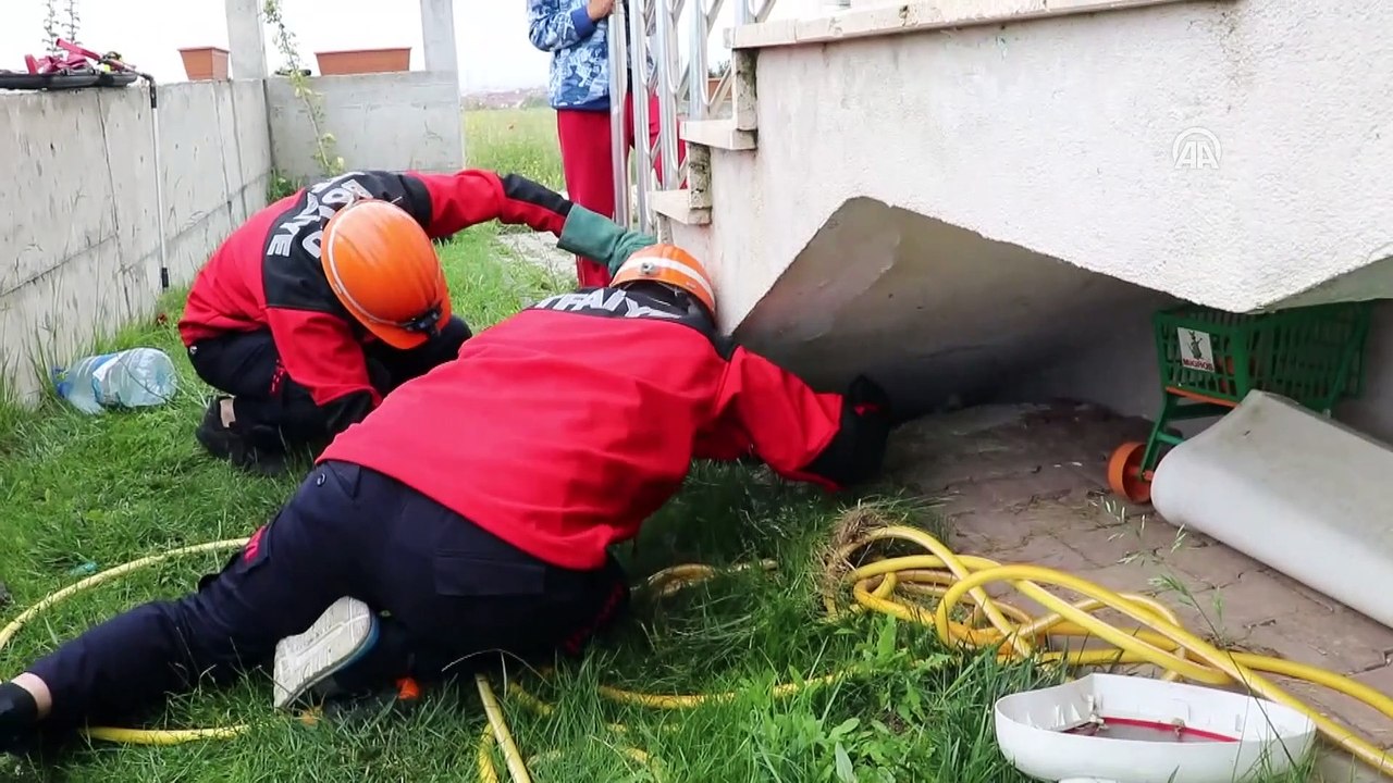 Kuyuya düşen yavru köpekleri itfaiye kurtardı - BOLU