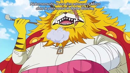 One Piece Épisode 890 [VOSTFR] HD Preview