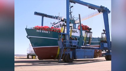 Le fédéral somme Frédéricton d’investir dans le nord du Nouveau-Brunswick