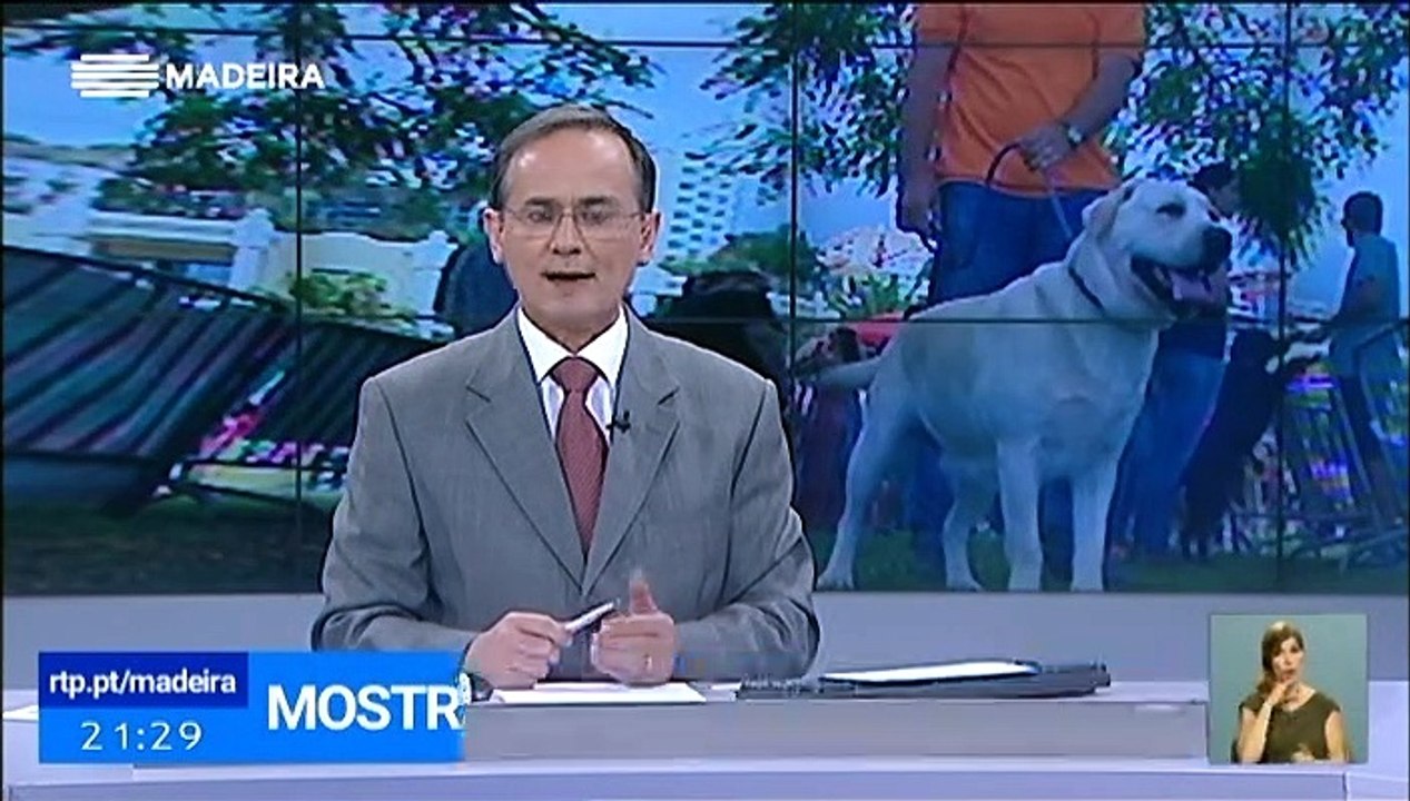 14ª Mostra Canina do Funchal