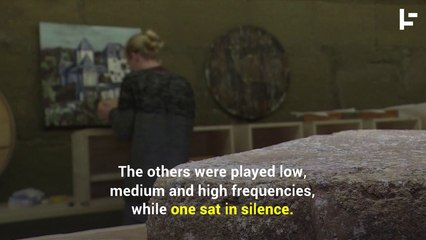 How Playing Hip-hop Music to Cheese Makes it Taste Better