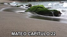 MATEO CAPÍTULO 22 - LA BIBLIA AUDIO DRAMATIZADA - Español Reina Valera - Nuevo Testamento