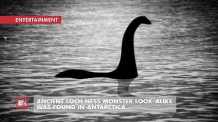 A Loch Ness Like Fossil Found In Cold Temperatures