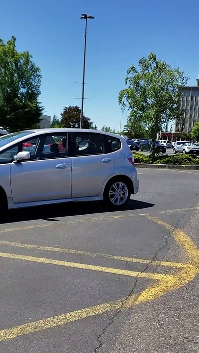 Peculiar Behavior in Parking Lot