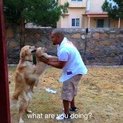 Warning Dogs are Extra Hilarious! Funny and lovely dogs