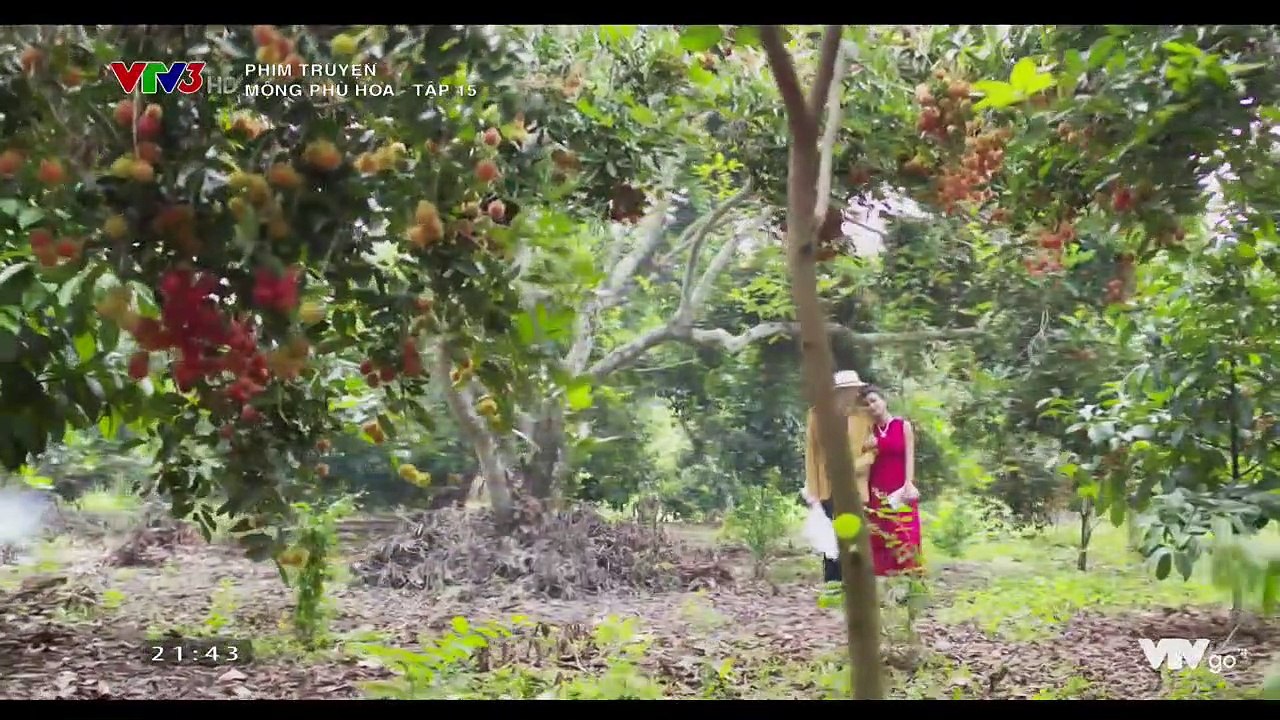 Mộng phù hoa - Tập 15