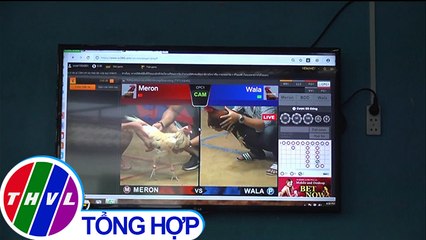 THVL | Phá đường dây đánh bạc qua mạng trong trại tôm giống