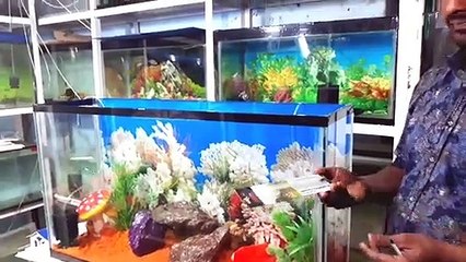 DIY Fish Aquarium - First time setup by step  & Decoration ideas | SMOKE studio