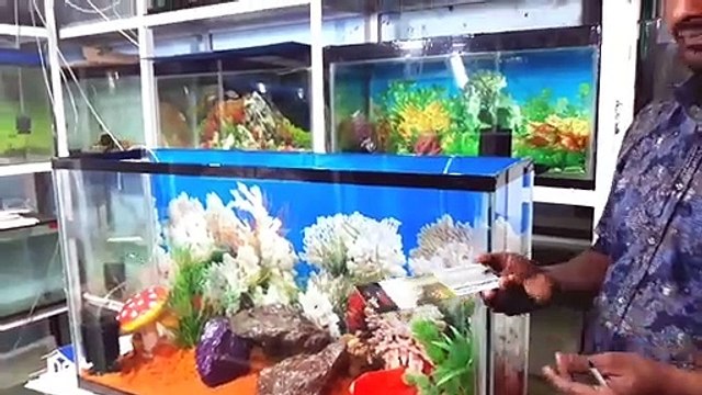 DIY Fish Aquarium - First time setup by step & Decoration ideas | SMOKE studio