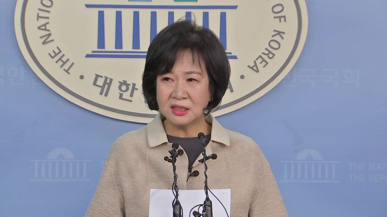 검찰, 부패방지법 위반 손혜원 불구속 기소...:"납득 어려워" / YTN
