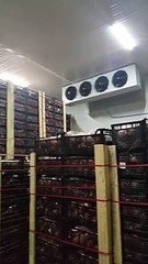 Soğuk Hava Deposu Uygulama - Cold room installation