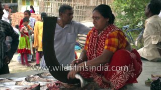 Mouth watering Sea food from Sundarban, fish market of Sundarban, Durgapur village, Satjelia , West Bengal