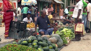 Durgapur Vegetable market at Satjelia Village,  Sundarbans, West Bengal, India. 4K stock footage.