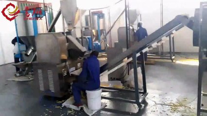 Kurkure/Cheetos/Nik naks food Making Machine | Jinan Phenix Machinery ®