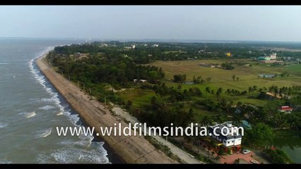 Birds eye view of Bakkhali Beach tour - West Bengal, Bay of Bengal, India. 4k stock footage.