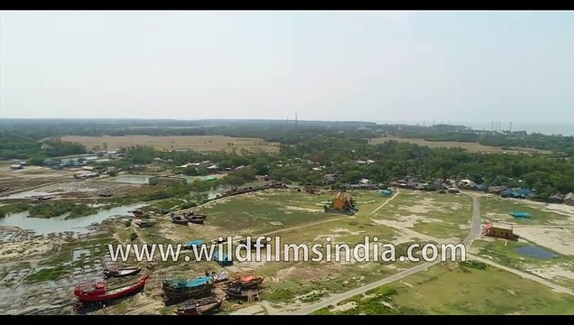 Sunama Park, Susni Island Mangroves, Bakkhali Sunset Point , West Beach Side , Kargil Beach , Frasergunj Harbour, West Bengal, Bay of Bengal , India -Aerial stock footage 4K-