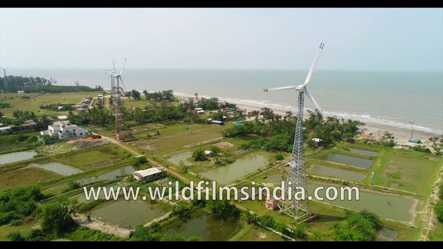 Wind Mills at Frazerganj beach to Susni Beach , Bay of Bengal. West Bengal, Aerial 4K stock footage