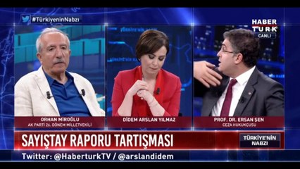 Ünlü profesör 'Sayıştay raporunu' izah etti