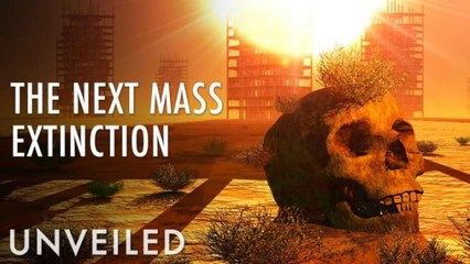 What If 50% of Everything Went Extinct?