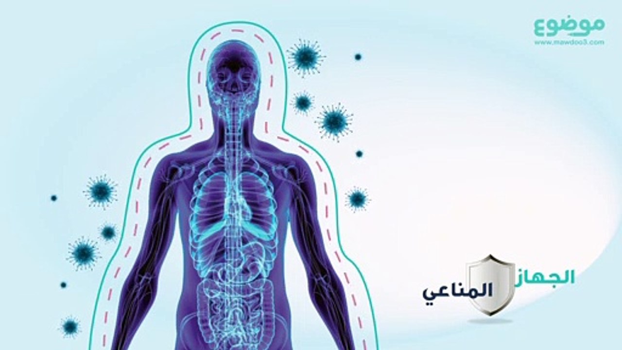 تأثير الجراثيم والبكتيريا على جهاز المناعة