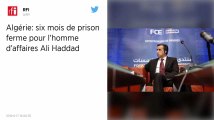 Algérie. Six mois ferme pour l’ex-patron des patrons Ali Haddad, lié à Bouteflika