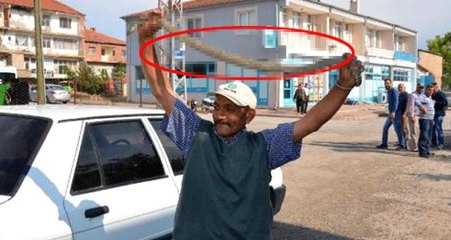 Herkes korku içinde izledi! Otomobile giren yılanı elleriyle çıkardı