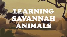 LEARNING SAVANNAH ANIMALS