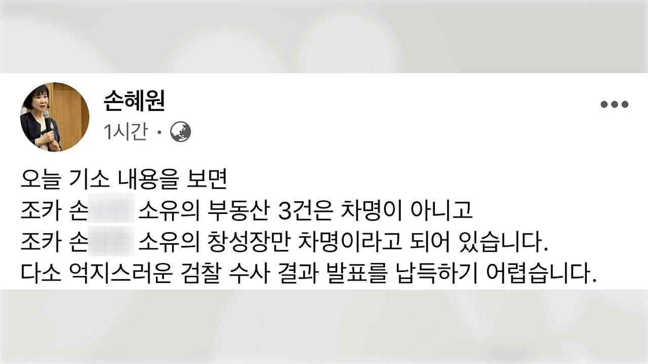 손혜원 "검찰 수사 부실" 조목조목 반박 / YTN