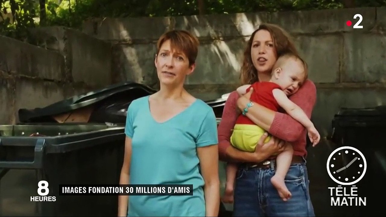 30 millions d'amis alerte contre les abandons d'animaux à la veille des vacances d'été