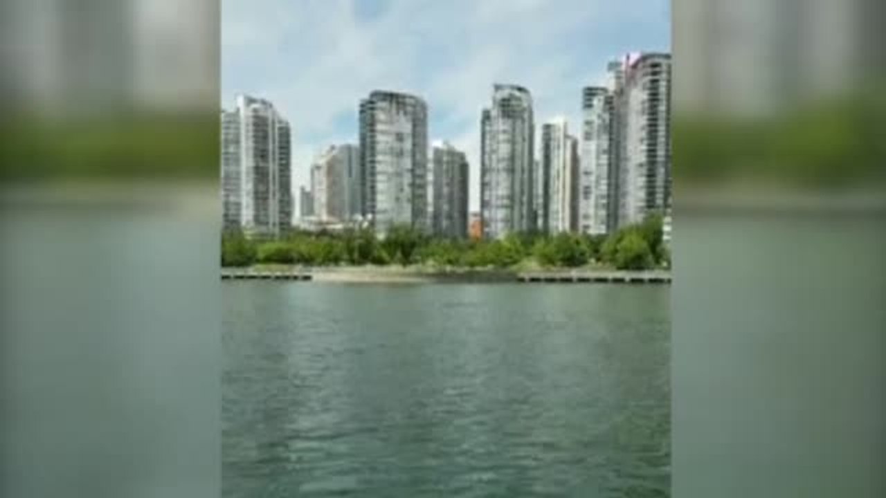 Espectacular imagen de unas ballenas cerca de la costa de Canadá