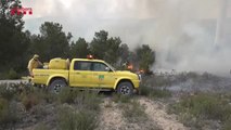 Los bomberos consiguen estabilizar el incendio forestal de El Perelló