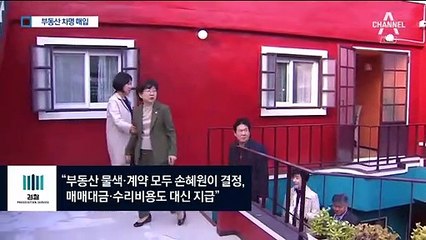 차명 아닌 증여 주장했지만…검찰 “조카 명의도 손혜원 소유”