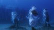 Buceadores de WWF se han sumergido en aguas canarias para denunciar la gran amenaza que supone la contaminación por plástico