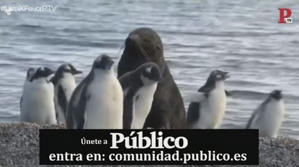 Público al Día - 25 de abril de 2019