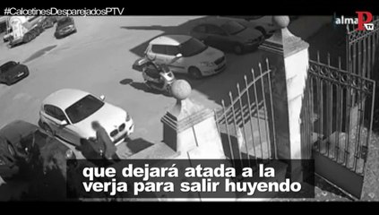 Público al Día - 21 de marzo de 2019