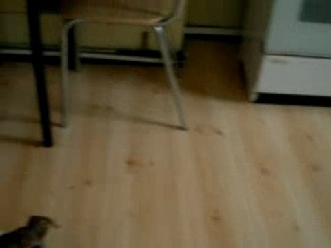 0796 - avec une baguette d'un resto chinois