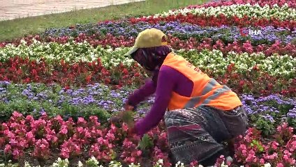 Samsun’un refüjleri kadınların elinde güzelleşiyor