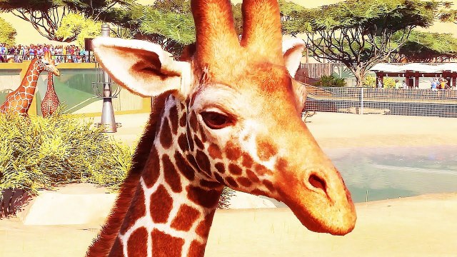 PLANET ZOO Démo de Gameplay