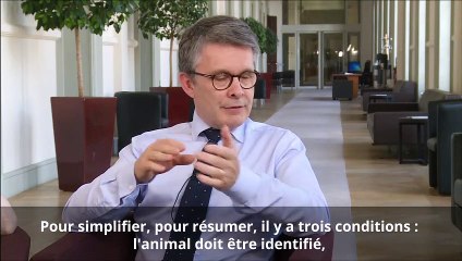 Spécial vacances : Le  Live des Experts Alim'Agri partie 1