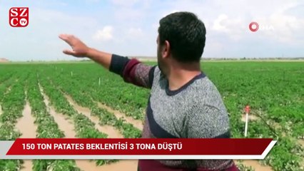 Patates tarlaları su altında kaldı