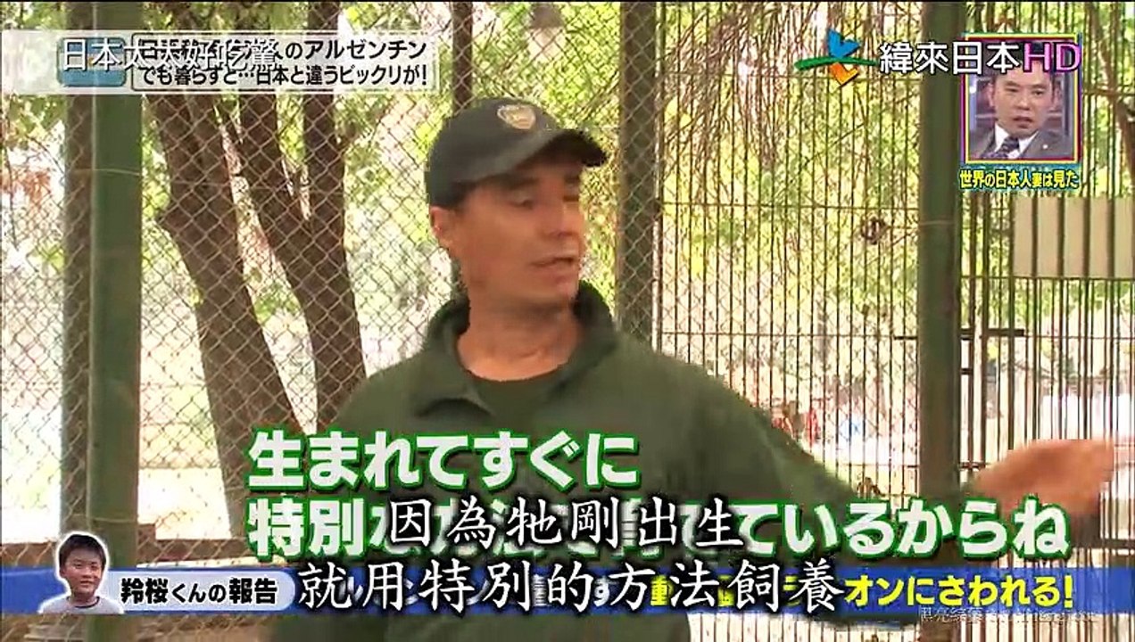 日本太太好吃驚-20190616 part2