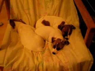 0825 - le fauteuil perché