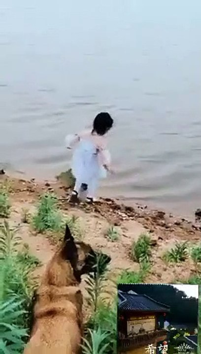 Une maman Berger Allemand protège une petite fille et l’empêche d'aller à la rivière