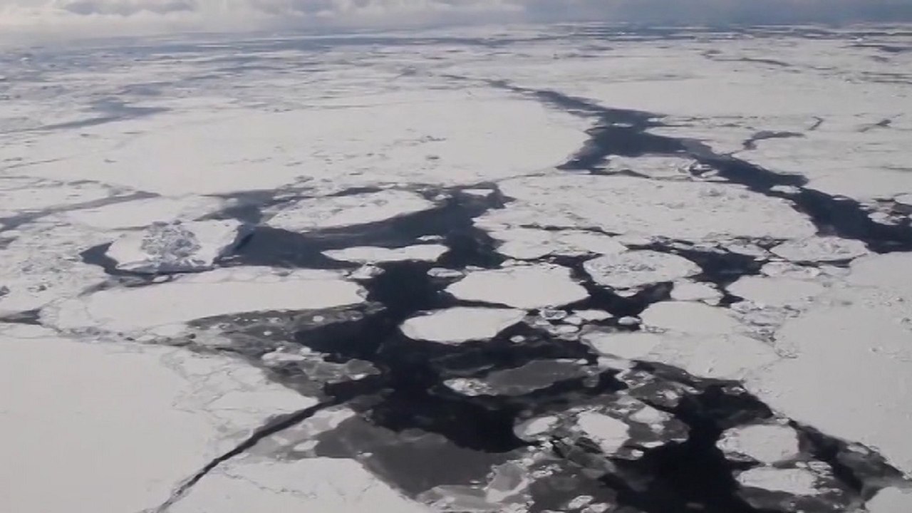 Reducción de O2 en océanos hace peligrar las especies antárticas