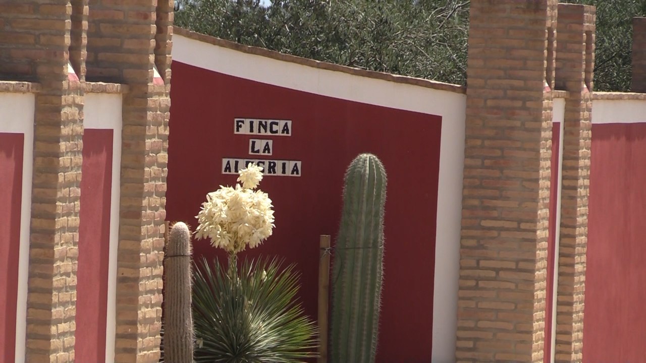 Todo listo en 'La Alegría' para la boda de Sergio Ramos y Pilar Rubio