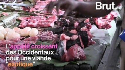 Singes, antilopes, éléphants… Le trafic de "viande de brousse" se propage