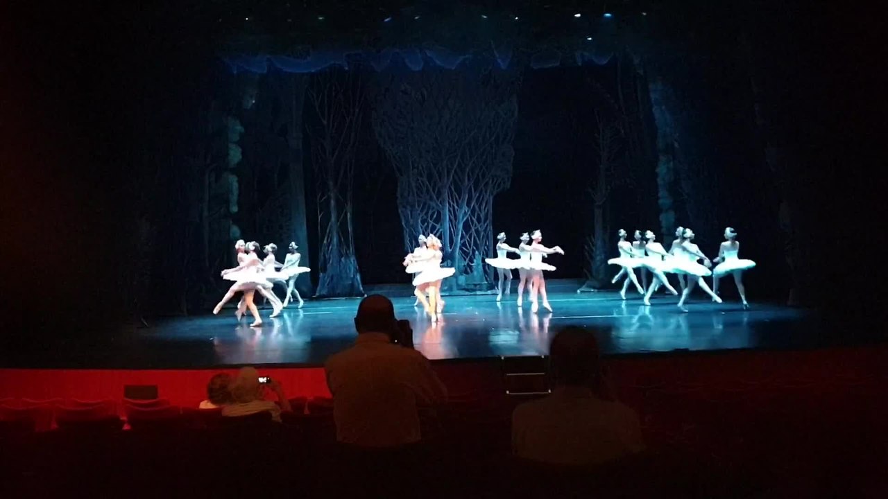 'El Lago De Los Cisnes' llega a los Teatros del Canal