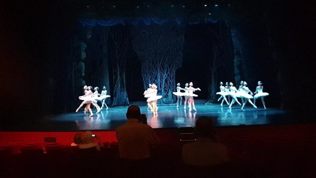 'El Lago De Los Cisnes' llega a los Teatros del Canal